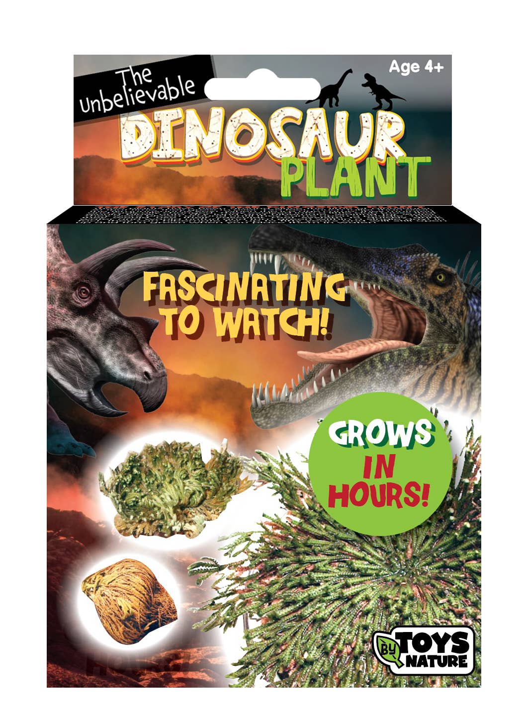 Dinosaur Plant