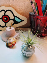 Load image into Gallery viewer, Disco Ball Mini Planter and Plant
