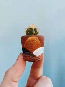 The Hope Pot Mini Planter with Plant