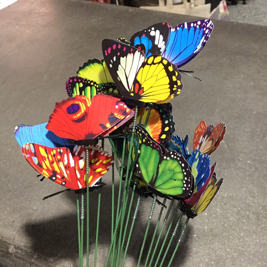 Butterfly picks