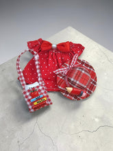 Load image into Gallery viewer, Desk Goose Outfit - 3pc
