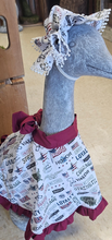 Load image into Gallery viewer, Porch Goose Outfit

