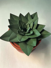 Load image into Gallery viewer, Succulent Gnat Trap - Assorted
