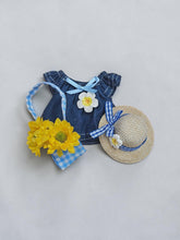 Load image into Gallery viewer, Desk Goose Outfit - 3pc
