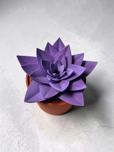 Load image into Gallery viewer, Succulent Gnat Trap - Assorted

