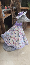 Load image into Gallery viewer, Porch Goose Outfit
