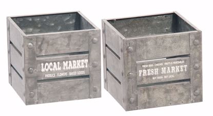 Market Planter