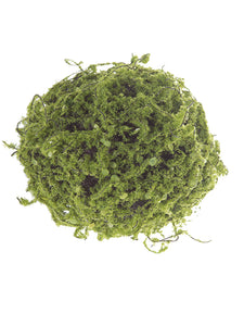 5" Mossy Twig Ball