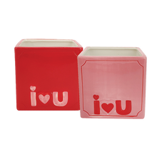 Load image into Gallery viewer, Red or Pink I Love You Container
