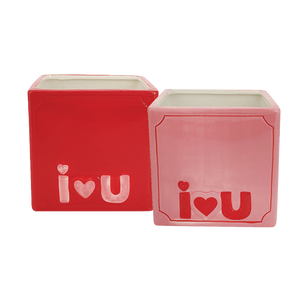 Red or Pink I Love You Container
