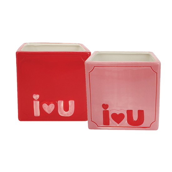 Red or Pink I Love You Container
