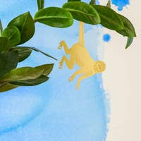 Plant Monkey