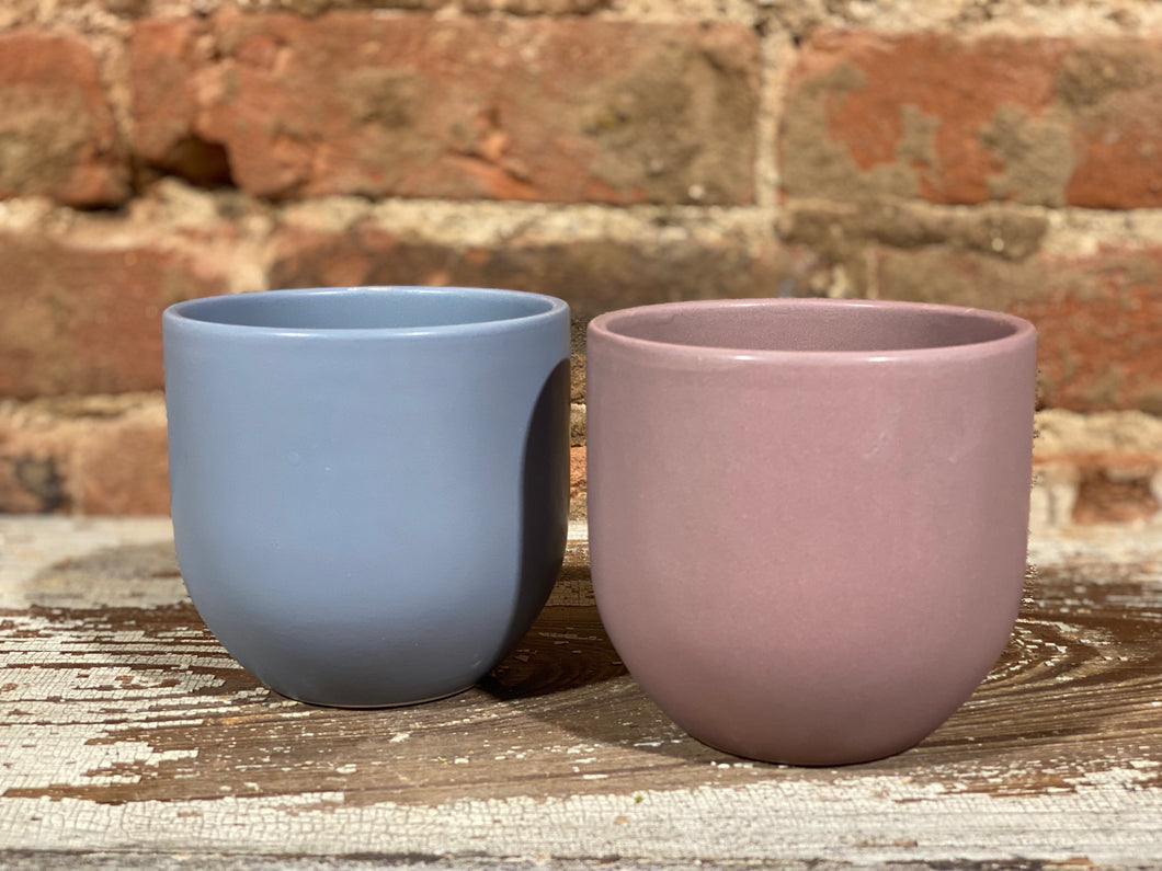 Dish Garden Bowl