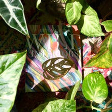 Load image into Gallery viewer, Bookmark - Monstera Adansonii Brass
