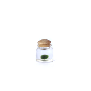 Moss Micro