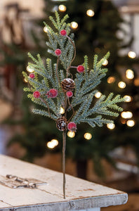 Mountain Pine with Berries Pick