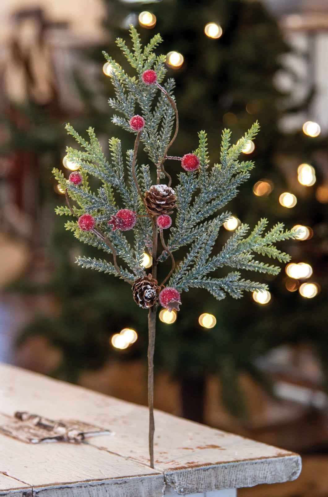 Mountain Pine with Berries Pick