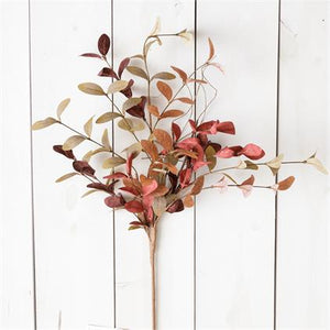 Shades of Burgundy Foliage Pick