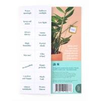 Plant Flags