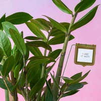 Load image into Gallery viewer, Plant Flags
