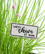 Load image into Gallery viewer, Herb Plant Markers
