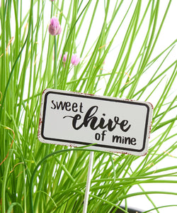 Herb Plant Markers