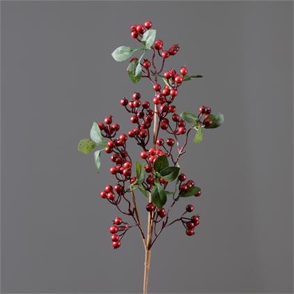 Cranberries Pick
