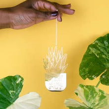Load image into Gallery viewer, Plant Lady Brass Ornament
