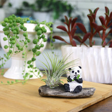 Load image into Gallery viewer, Mini Panda Driftwood Garden
