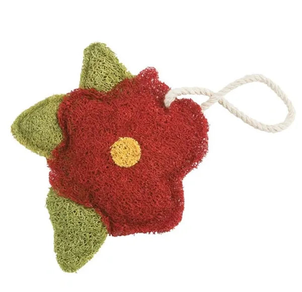 Hibiscus Scrubber