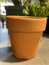 Load image into Gallery viewer, Terra Cotta Pot -3&quot;
