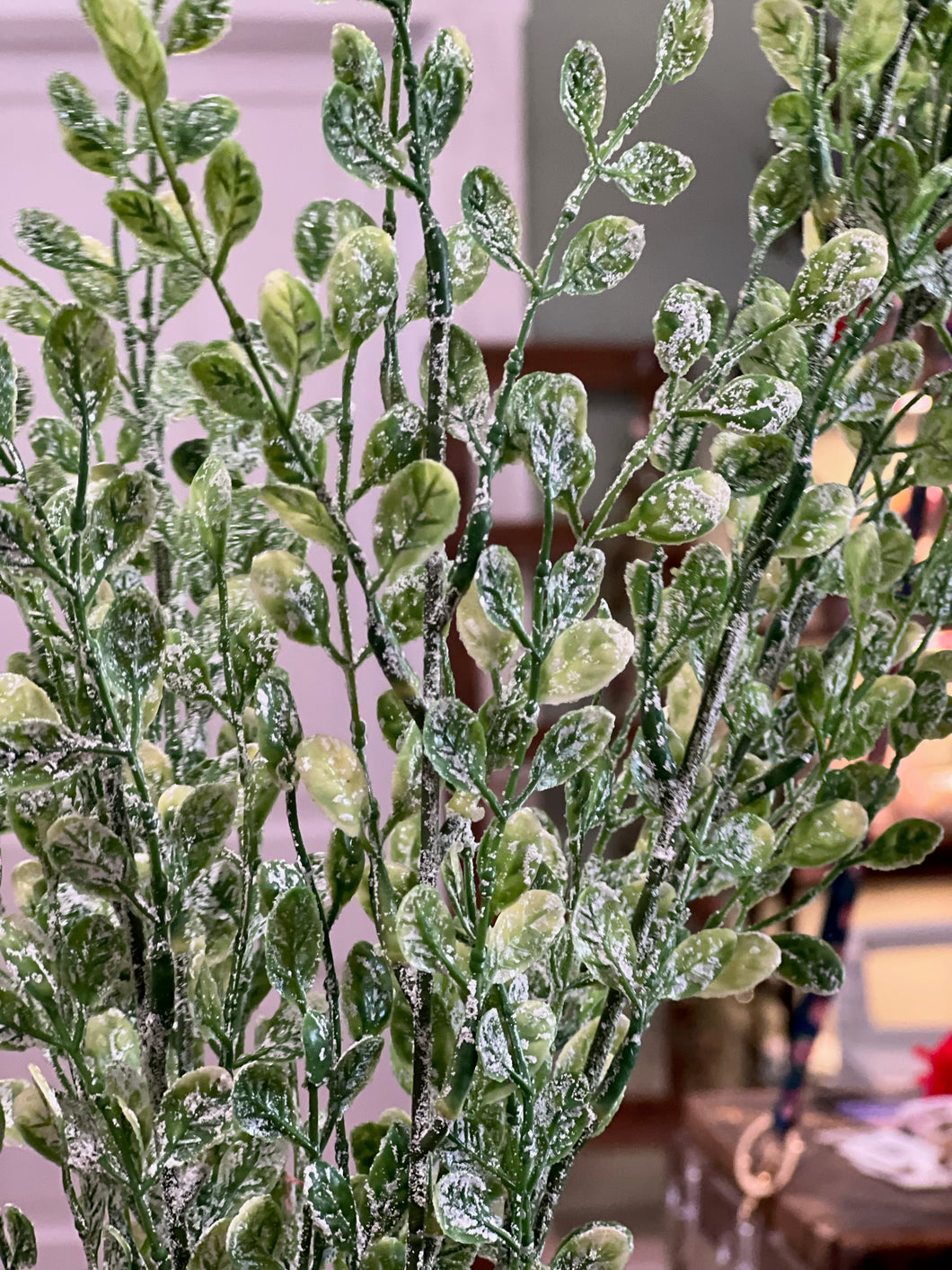 Frosted Bush