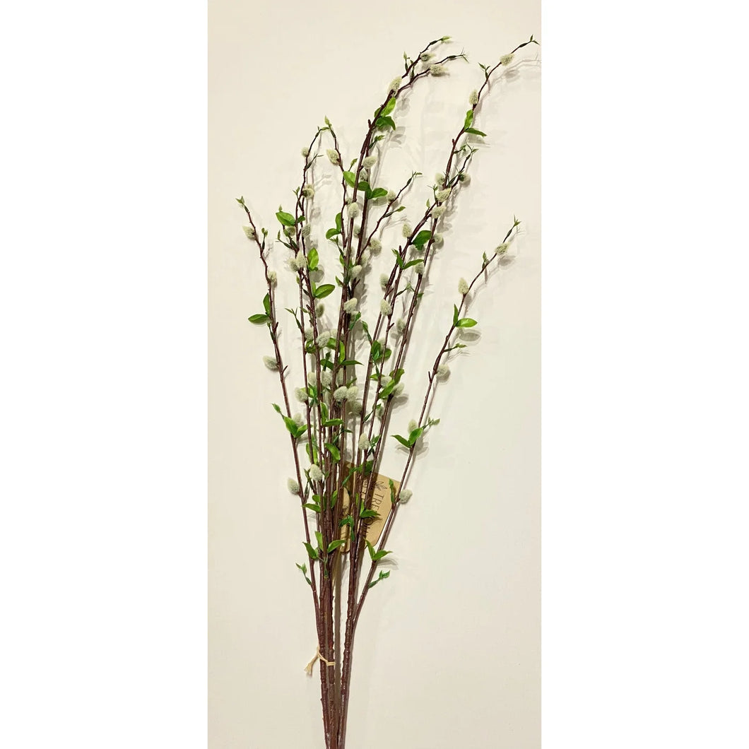 Pussy Willow Bush