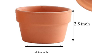 Shallow 5" Terracotta Pot