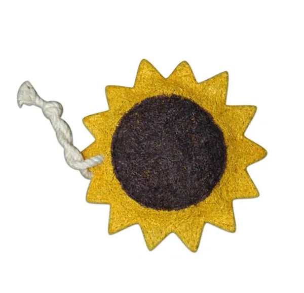 Sunflower Loofah