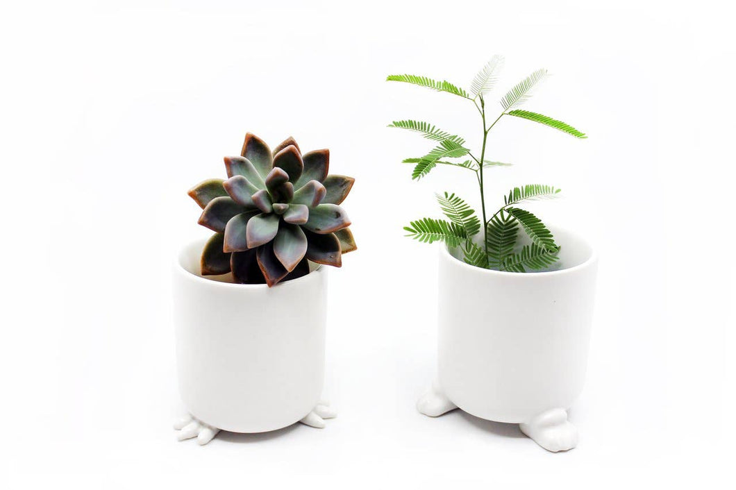 Nomad Wander Pot
