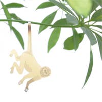Plant Monkey