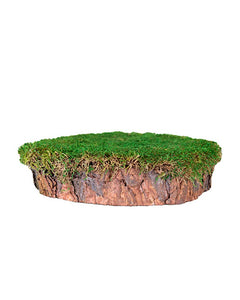 Mossy Stump