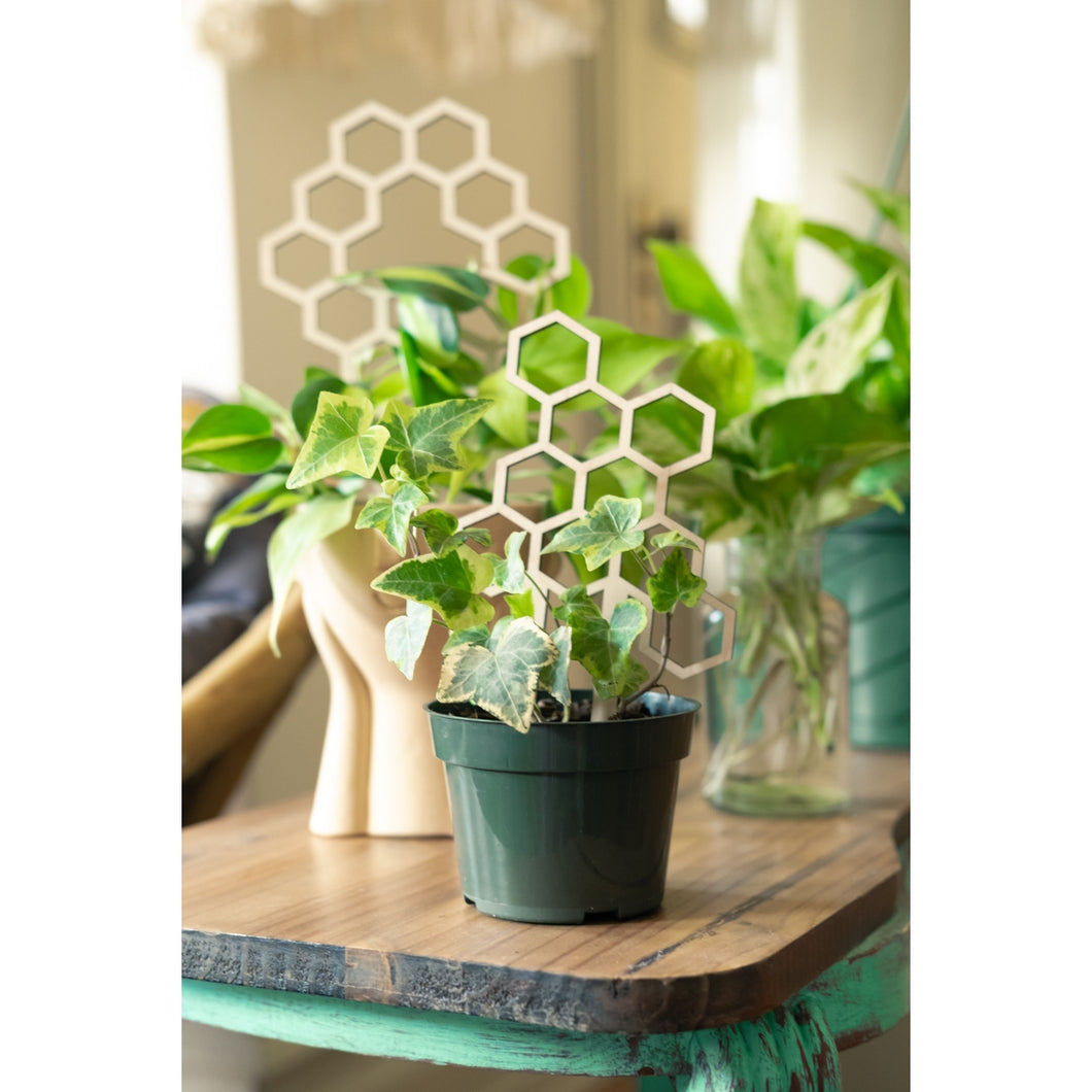 7.5” Honeycomb Plant Trellis