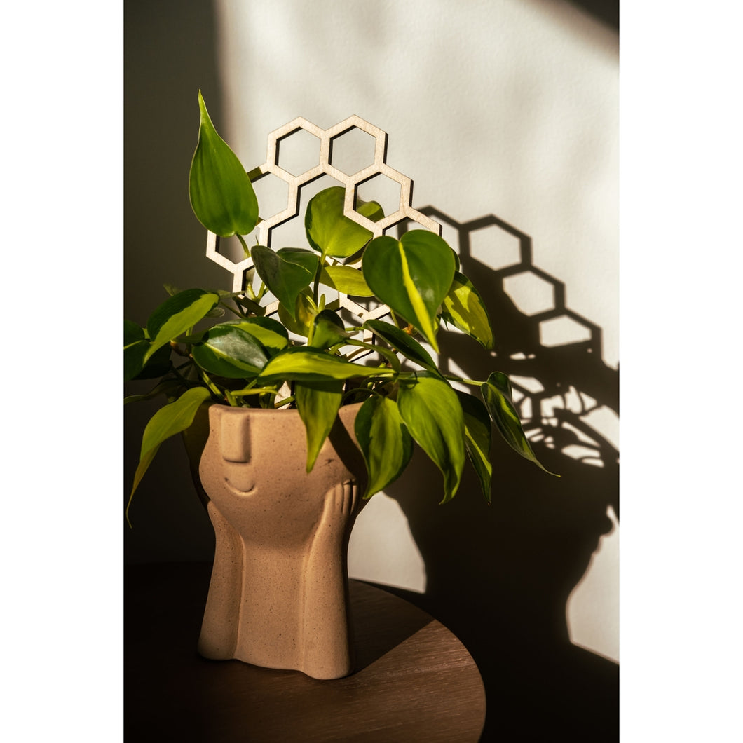 honeycomb plant trellis 9” Honeycomb Plant Trellis – Terra Cottage, LLC