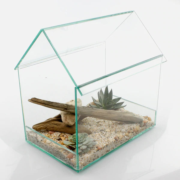 Clear Glass Greenhouse Terrarium
