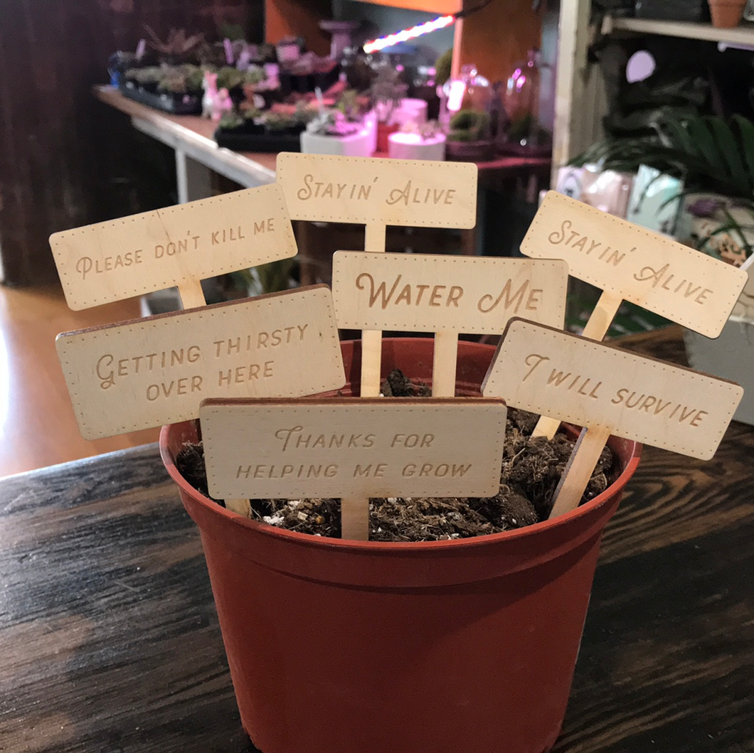 Plant Marker