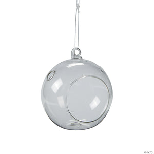Glass Globe Terrarium