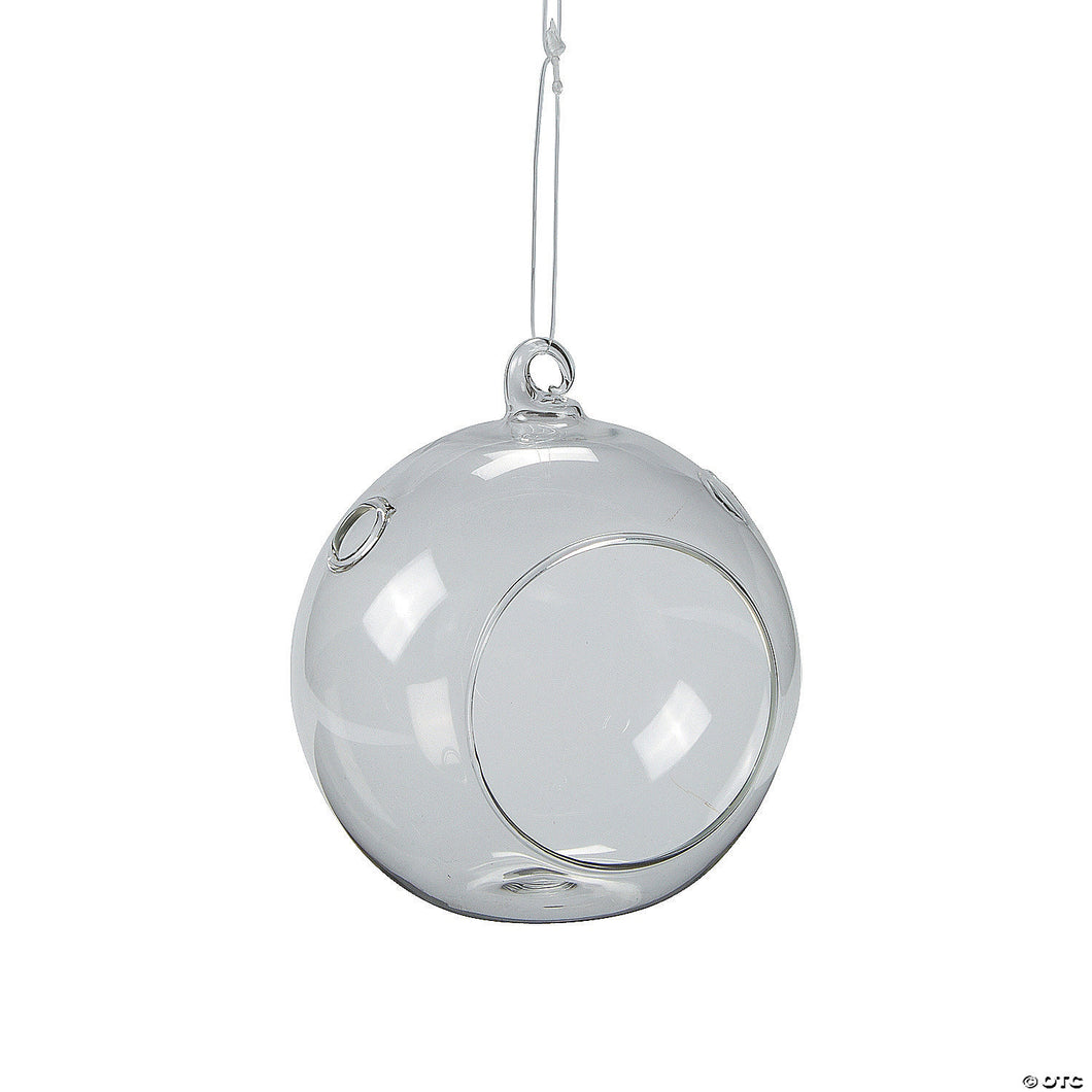 Glass Globe Terrarium